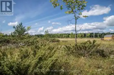 LOT 250 McGuire Beach Road Unit# LOT Kawartha Lakes Ontario K0M2B0