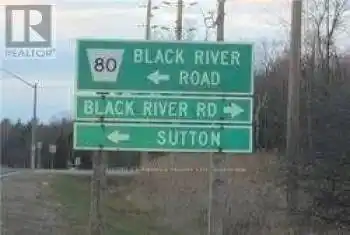 Black River Road, Georgina (Virginia), Ontario L0E1R0, ,Commercial,For Sale,Black River,N8038626