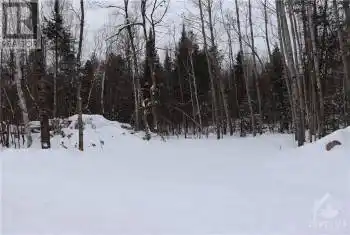 462 WILSON FARM Road Unit# WILSON, Greater Madawaska, Ontario K0J1H0, ,Commercial,For Sale,Calabogie Race Track Lanark Rd,WILSON FARM,X9515372