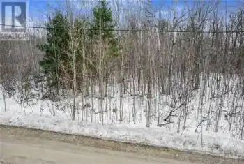 LEGREE Street, Greater Madawaska, Ontario K0J1H0, ,Commercial,For Sale,Calabogie Peaks,LEGREE,X9517795