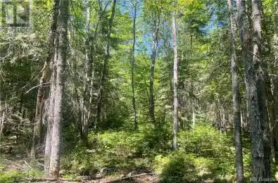 Lot 24-4 Cox Point Road Unit# Lot Cumberland Bay New Brunswick E4A2Y8