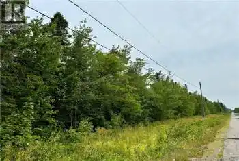 25.2 acres Rte 445, Fairisle, New Brunswick E9G3C1, ,Commercial,For Sale,25.2 acres Rte 445,NB104160