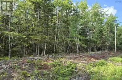 Lot 1 Conquerall Road Unit# Lot Conquerall Bank Nova Scotia B4V0J6