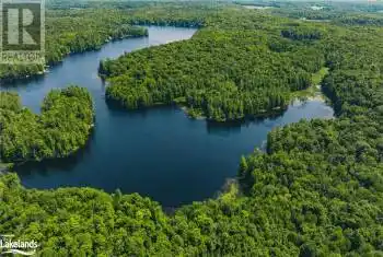 WINDERMERE Road, Muskoka Lakes (Watt), Ontario P0B1M0, ,Commercial,For Sale,WINDERMERE,X10437804