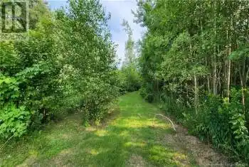 7.6 acres Rue Pinet, Bertrand, New Brunswick E1X1L3, ,Commercial,For Sale,7.6 acres Rue Pinet,NB103554