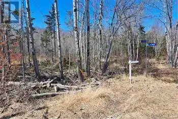 8.9hec-2 Ave Foret Unit# 8.9hec, Grande-Anse, New Brunswick E8N1A3, ,Commercial,For Sale,8.9hec-2 Ave Foret,NB098192