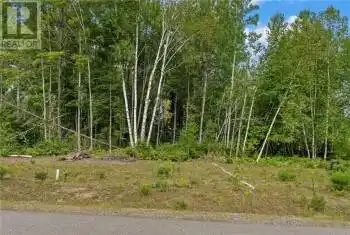 Lot 14 BIRCHVIEW Drive Unit# LOT, Madawaska Valley, Ontario K0J1B0, ,Commercial,For Sale,Sandhill,BIRCHVIEW,X9517756