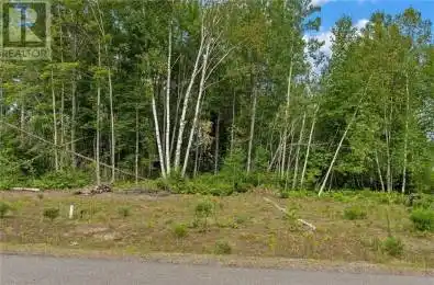 Lot 14 Drive Unit Lot Barry's Bay Ontario K0J1B0