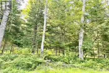 Lot A CHIPPAWA Road, Madawaska Valley, Ontario K0J1B0, ,Commercial,For Sale,Barry's Bay, Combermere, Kaman,CHIPPAWA,X9519297