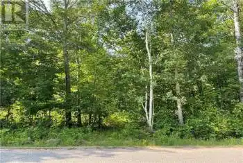 Lot B CHIPPAWA Road, Madawaska Valley, Ontario K0J1B0, ,Commercial,For Sale,Barry's Bay, Combermere, Kaman,CHIPPAWA,X9519314