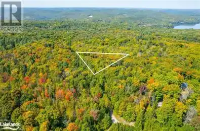 49 BASSHAUNT LAKE Road Unit# LOT Eagle Lake Ontario K0M1M0