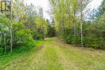 The Avenue, Kawartha Lakes (Kinmount), Ontario K0M2A0, ,Commercial,For Sale,The Avenue,X9375759