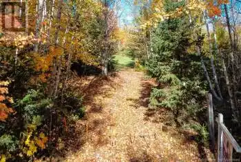 Lot Fisher Hill, Bouctouche, New Brunswick E4T0A0, ,Commercial,For Sale,Lot Fisher Hill,NB108007