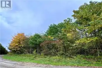 LOT 1 MURPHY Road Unit# LOT, Stone Mills, Ontario K0K3G0, ,Commercial,For Sale,MURPHY,X9507642