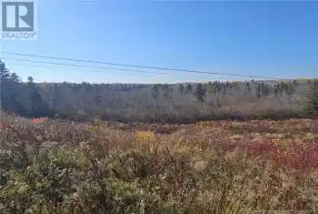 33.8 ACRES RIVERSIDE Drive, Bathurst, New Brunswick E2A6L4, ,Commercial,For Sale,33.8 ACRES RIVERSIDE Drive,NB108281