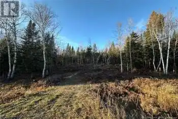 Lot Riviere-Quisibis Road, Green River, New Brunswick E7C2Y8, ,Commercial,For Sale,Lot Riviere-Quisibis Road,NB108692