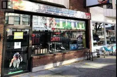 1539 Dundas Street Toronto (Little Portugal) Ontario M6K1T6