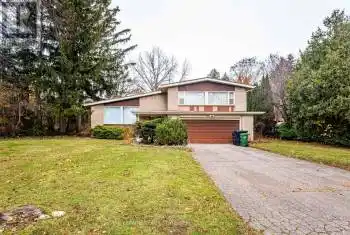 61 Banbury Road, Toronto (St. Andrew-Windfields), Ontario M3B2K9, 3 Bedrooms Bedrooms, ,2 BathroomsBathrooms,All Houses,For Rent,Banbury,C11821813