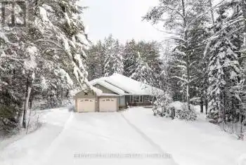 557 South Mary Lake Road, Huntsville (Stephenson), Ontario P0B1L0, 4 Bedrooms Bedrooms, ,6 BathroomsBathrooms,All Houses,For Sale,South Mary Lake,X11886084