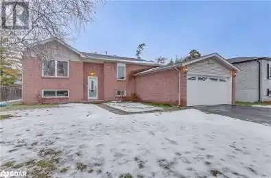 65 SANDY Lane Angus Ontario L0M1B3