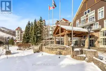 220 Gord Canning Drive Unit# 280-282, Blue Mountains (Blue Mountain Resort Area), Ontario L9Y0V2, 3 Bedrooms Bedrooms, ,3 BathroomsBathrooms,Condo,For Sale,Gord Canning,X11892308