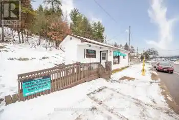 19666 Opeongo Line, Madawaska Valley, Ontario K0J1B0, ,1 BathroomBathrooms,Commercial,For Sale,Opeongo,X11897812