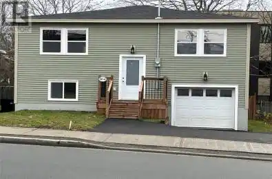 197A Freshwater Road St. Johns Newfoundland & Labrador A1C2P1