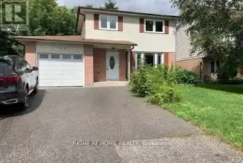 186 Currey Crescent, Newmarket (Central Newmarket), Ontario L3Y5M9, 4 Bedrooms Bedrooms, ,2 BathroomsBathrooms,All Houses,For Rent,Currey,N11911123