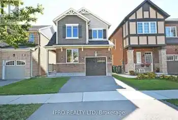 16 Stedford Crescent Unit# Bsmnt, Brampton (Northwest Brampton), Ontario L7A4P5, 1 Bedroom Bedrooms, ,1 BathroomBathrooms,All Houses,For Rent,Stedford,W11917629