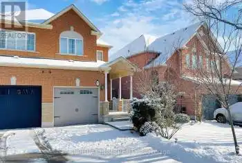 85 Castillian Drive Unit# Bsmt, Vaughan (Sonoma Heights), Ontario L4H1S9, 1 Bedroom Bedrooms, ,1 BathroomBathrooms,All Houses,For Rent,Castillian,N11920583