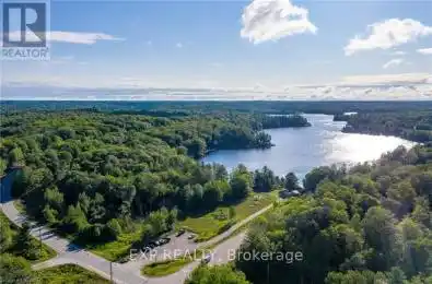 1010 BRACKENRIG Road Muskoka Lakes (Watt) Ontario P0B1J0