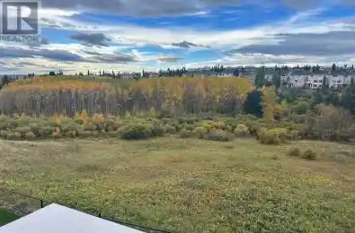 27 Royal Birch Cove Calgary Alberta T3G5P9