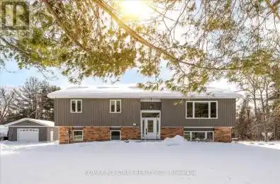 100 Pine Post Road Georgina (Keswick North) Ontario L4P3C8