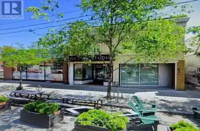 817 Dundas Street Toronto (Trinity-Bellwoods) Ontario M6J1V4