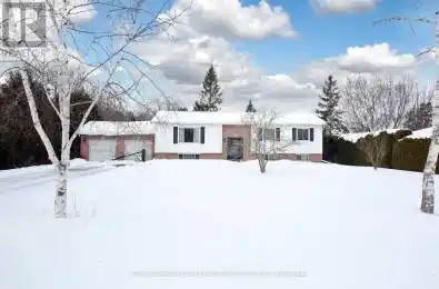 28 Joel Avenue Georgina (Historic Lakeshore Communities) Ontario L0E1S