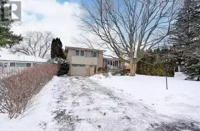 12 Alanadale Avenue Markham (Bullock) Ontario L3P1S3