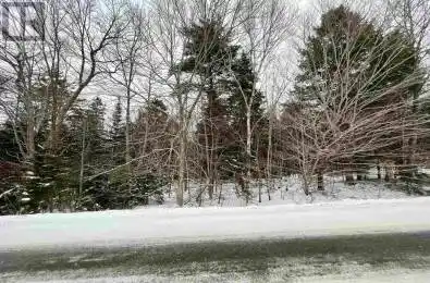 Lot PID60412582 HIGHWAY 325 Oakhill Nova Scotia B4V8E1