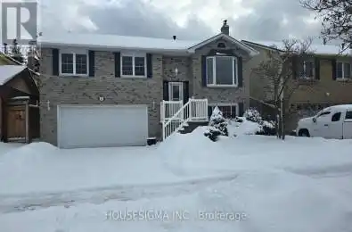 42 Cherry Blossom Crescent Clarington (Courtice) Ontario L1E1G7