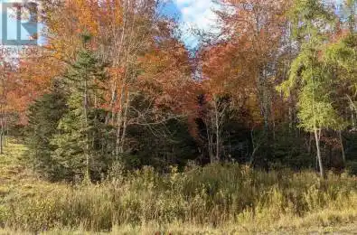 Lot 4 French Cove Road Unit# Lot French Cove Nova Scotia B0E3B0