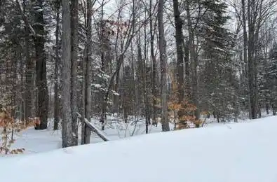 1788 Old Muskoka Road Huntsville Ontario P0B 1M0