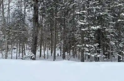 47 Summer Leigh Trail Huntsville Ontario P0B 1M0