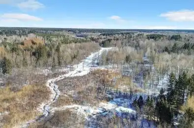 SAUMURE Road Orleans - Cumberland and Area Ontario K0A 3A0