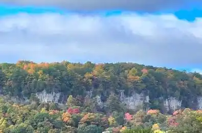 4197 Walkers Line Burlington Ontario L7M 0Y7