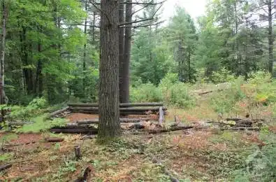 1068A JACQUES BAY Road Addington Highlands Ontario K0H 1K0