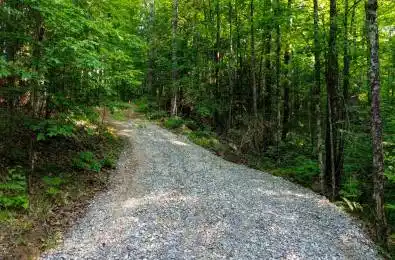 00 Rose Island Road Wollaston Ontario K0L 1P0