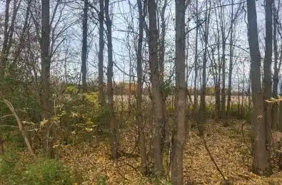 Lot 5 BUSH Road Rideau Lakes Ontario K0G 1E0