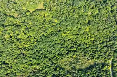 1098 Old Hwy 117 N/A Lake of Bays Ontario P0B 1A0