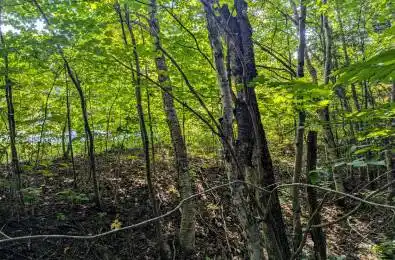 1031 HAVEN Road Bracebridge Ontario P1L 1X1