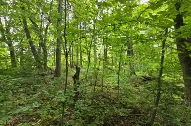 000 Cedar Sands Road Rideau Lakes Ontario K0E 1N0