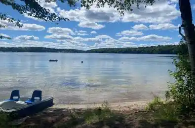 1167 Skeleton Lake 5 Road Unit# Unit 1 Muskoka Lakes Ontario P0B 1M0